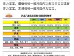 天龙私服经典玩法与独特魅力解析，珍兽培养与副本挑战全攻略