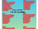 天龙八部私服玩法特色与社交互动详解：快速升级与丰富体验