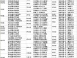 新天龙八部私服版本特色、开服时间及新手福利全解析